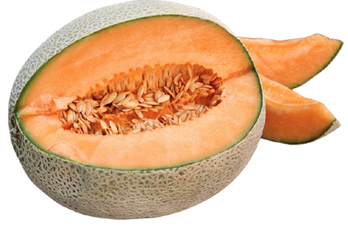 Cantaloupe "Hales Best" seed library