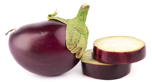 Eggplant Black Beauty seed library at the Wood Dale Public Library