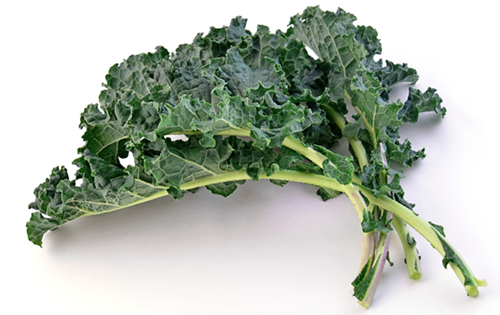 Kale "Dwarf Siberian Improved" seed library