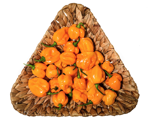 Pepper "Habanero Orange" seed library