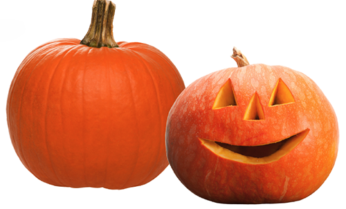Pumpkin "Jack O'Lantern" seed library