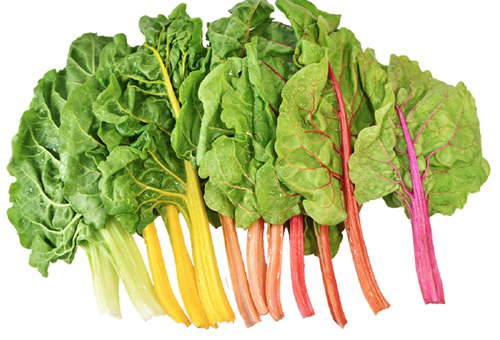 Swiss Chard "Rainbow" seed library