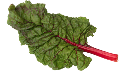 Swiss Chard "Ruby Red" seed library