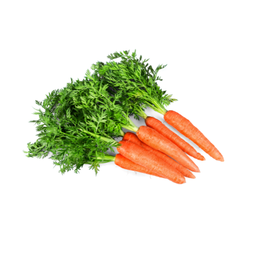 Carrot seed library at the Wood Dale Public Library