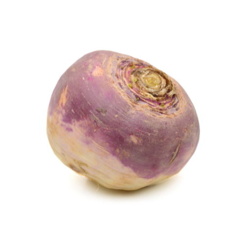 Turnip "Purple Top" seed library at the Wood Dale Public Library
