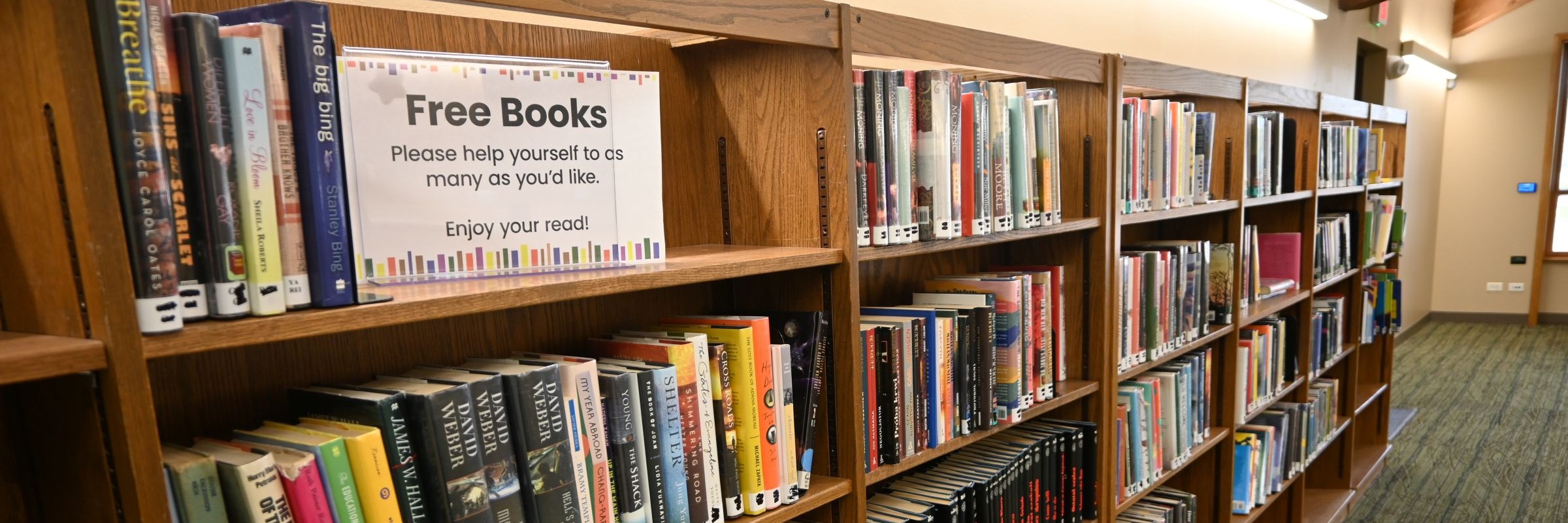 Shelf of books along library wall with sign reading "free books"