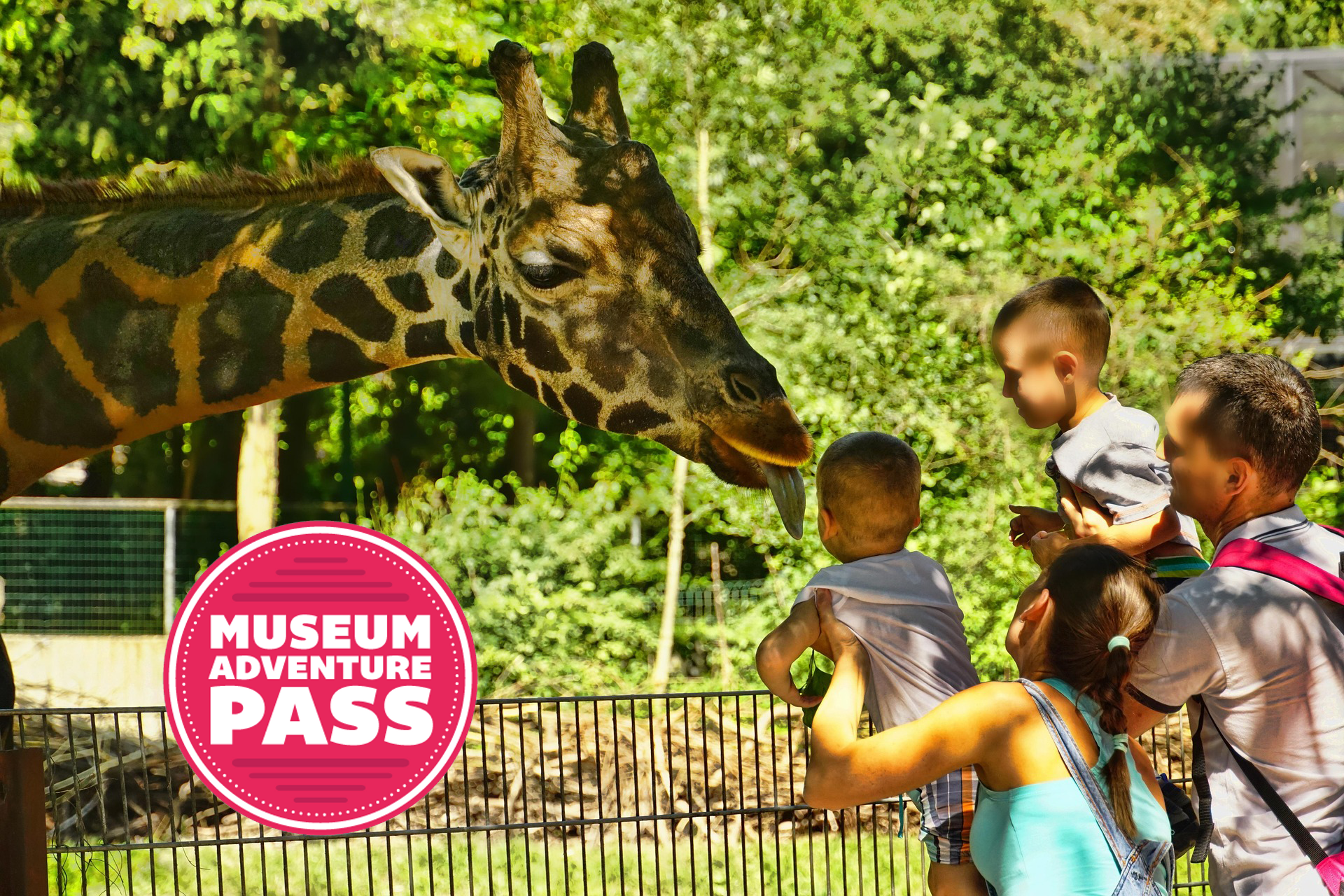 Museum Adventure Pass image of a family visiting the giraffe exhibit at a zoo