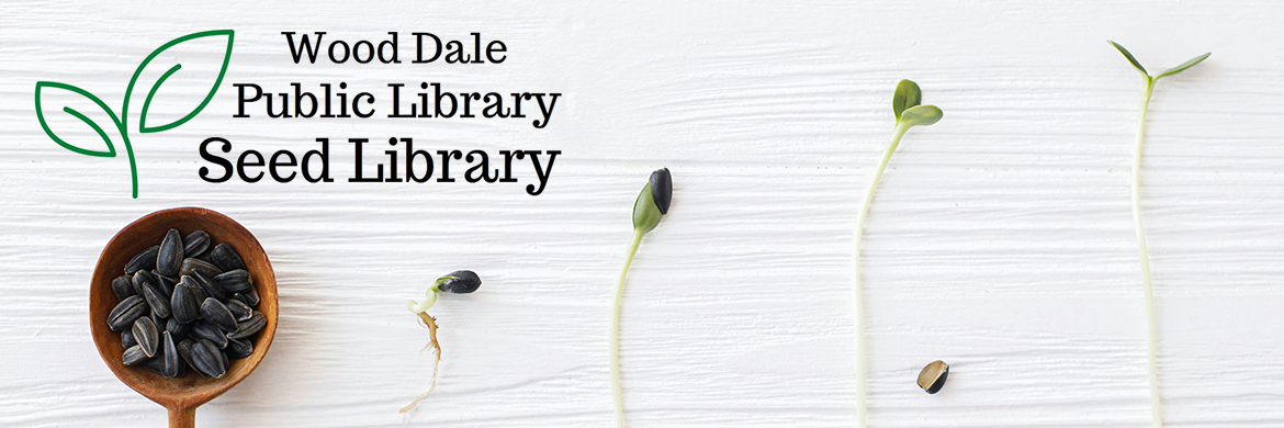 Wood Dale Public Library Seed Library header image showing seeds and different phases of sprouts