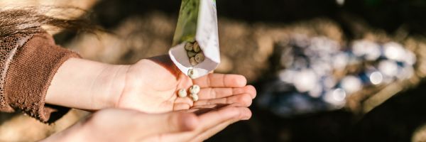 Person's outstretched, cupped hands being filled with seeds from a packet