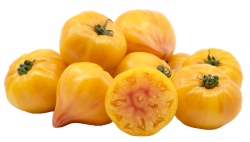 A group of bright yellow tomatoes. One is cut open widthwise.