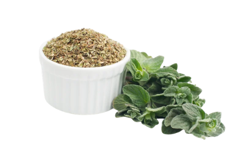 A sprig of fresh oregano next to a white ramekin of the herb in dried form.