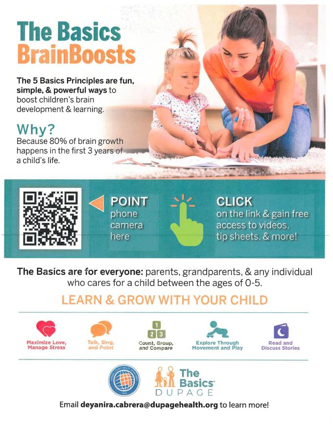 DuPage County Health Department Basics Flyer