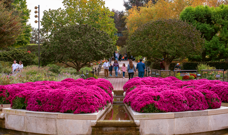 People at the Botanic Garden