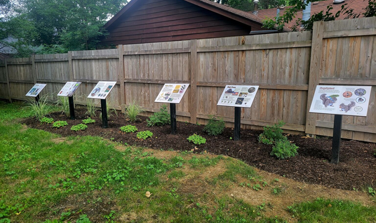 Storywalk path image showing different info placards