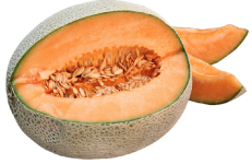 Cantaloupe "Hales Best" seed library