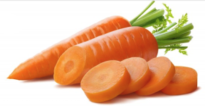 Carrot Kuroda seed library at the Wood Dale Public Library