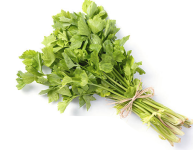 Celery Chinese seed library at the Wood Dale Public Library