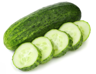 Cucumber "Boston Pickling" seed library