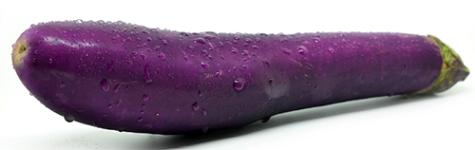Eggplant Long seed library at the Wood Dale Public Library