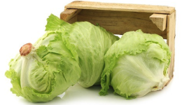 Great Lakes Lettuce seed library at the Wood Dale Public Library