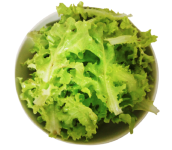 Lettuce "Italienischer Oakleaf" seed library