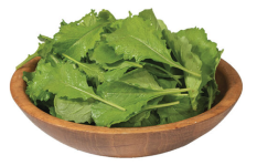 Mustard Greens "Greenwave" seed library