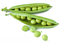 Pea "Little Marvel" seed library