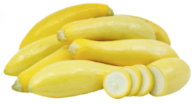 Summer Squash "Early Crookneck" seed library