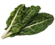 Swiss Chard "Fordhook" seed library