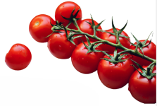 Tomato "Sweetie Cherry" seed library