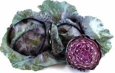 Cabbage "Red Acre" seed library at the Wood Dale Public Library