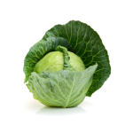 Cabbage "Copenhagen Market" seed library at the Wood Dale Public Library