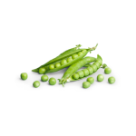 Pea "Alaska" seed library at the Wood Dale Public Library