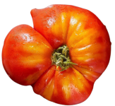 A top-down view of a juicy, orange-red tomato.