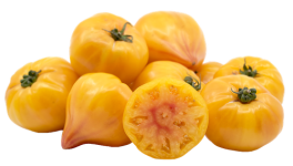 A group of bright yellow tomatoes. One is cut open widthwise.