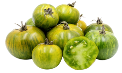 A group of small, green tomatoes with vertical striping. One is cut open widthwise.