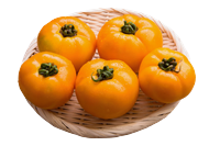 Five juicy, orange tomatoes on a woven mat.