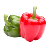 Two plump bell peppers: one red, one green.