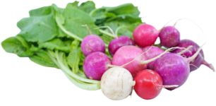 A mix of round radishes ranging in color from white to pink to purple.