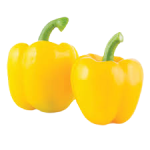 Two brightly golden-colored bell peppers with light green stems.